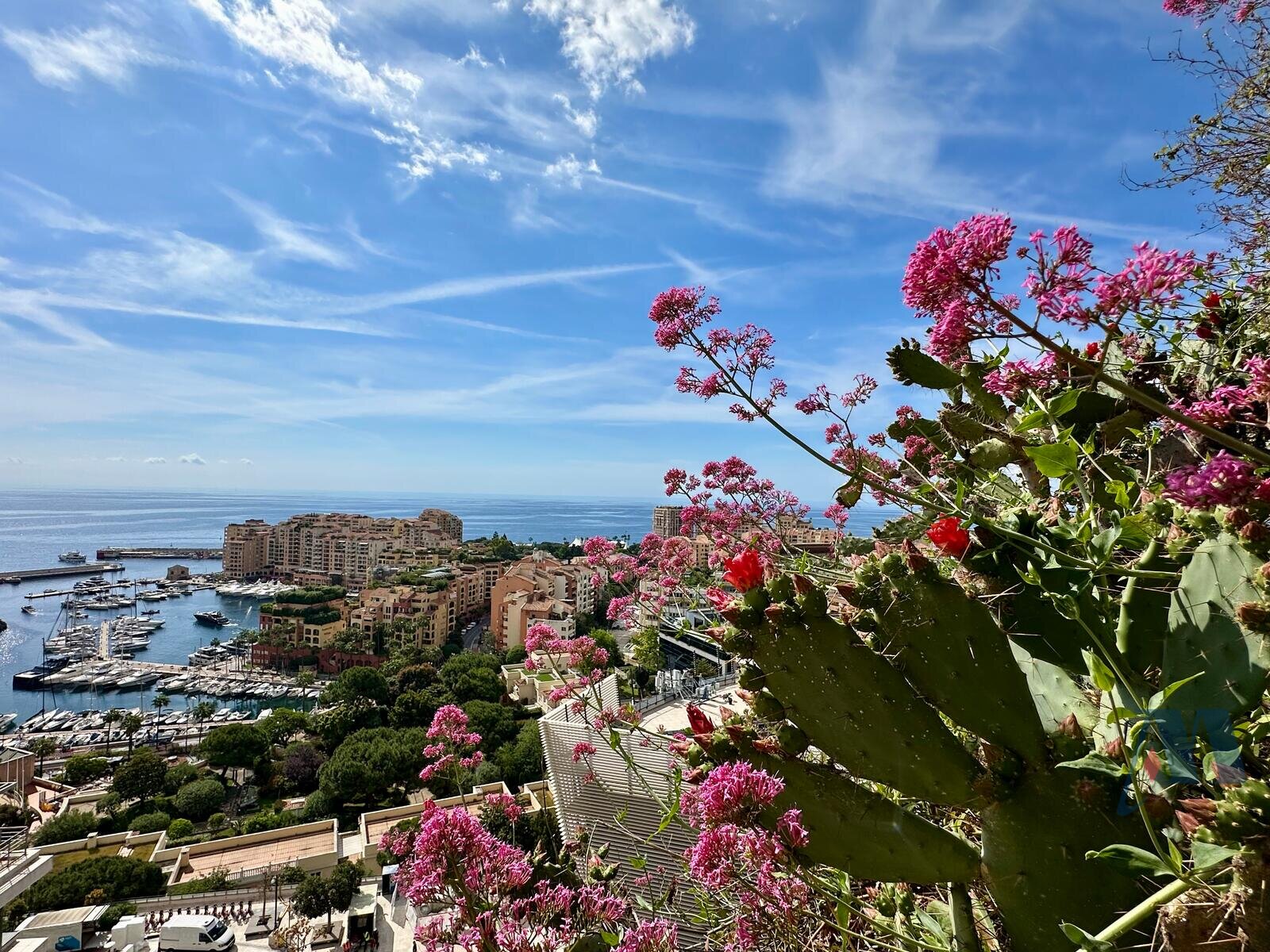 SET DI 8 LOTTI SU 9 LOTTI - QUARTIER PLATI - 1 / 1