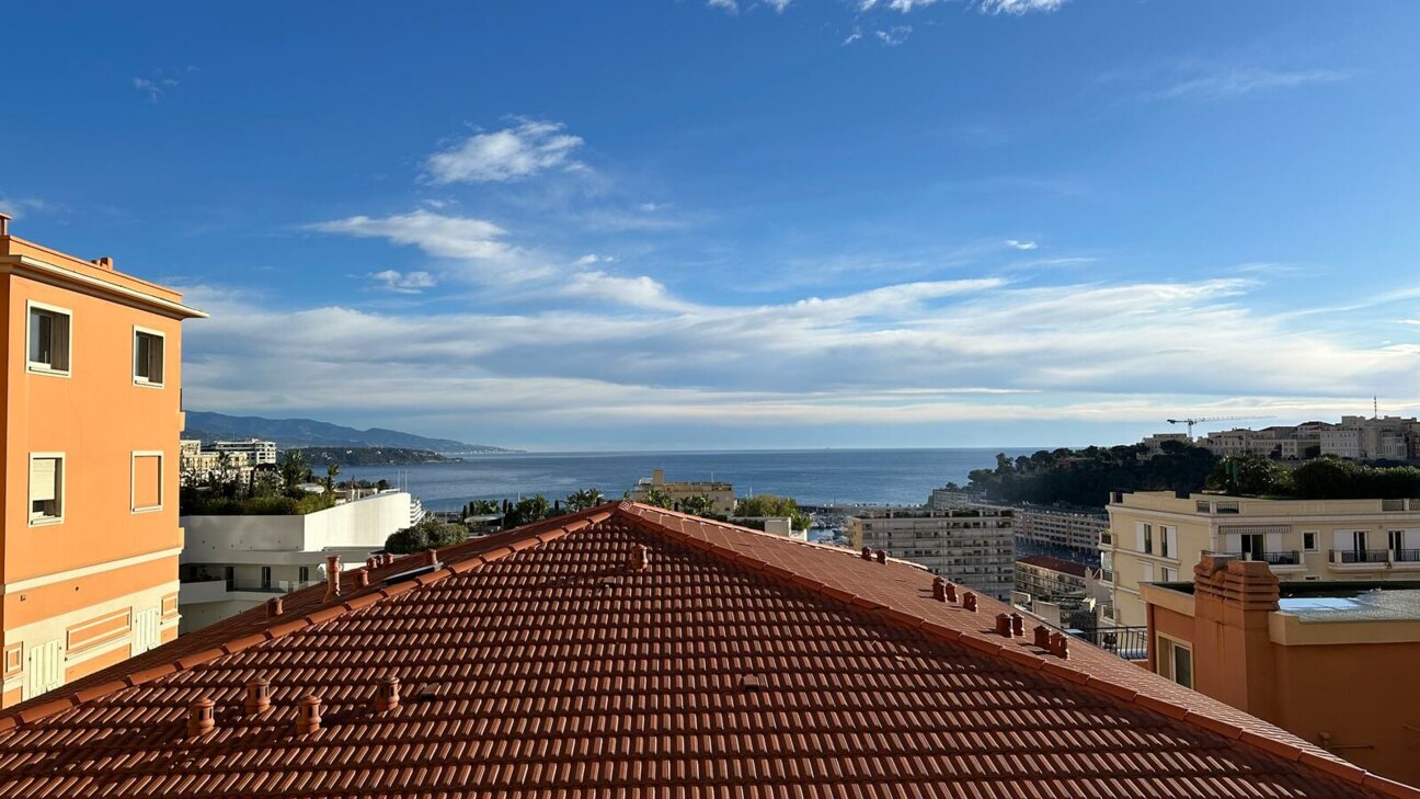 APPARTEMENT 3 PIECES - CONDAMINE - 2 / 8