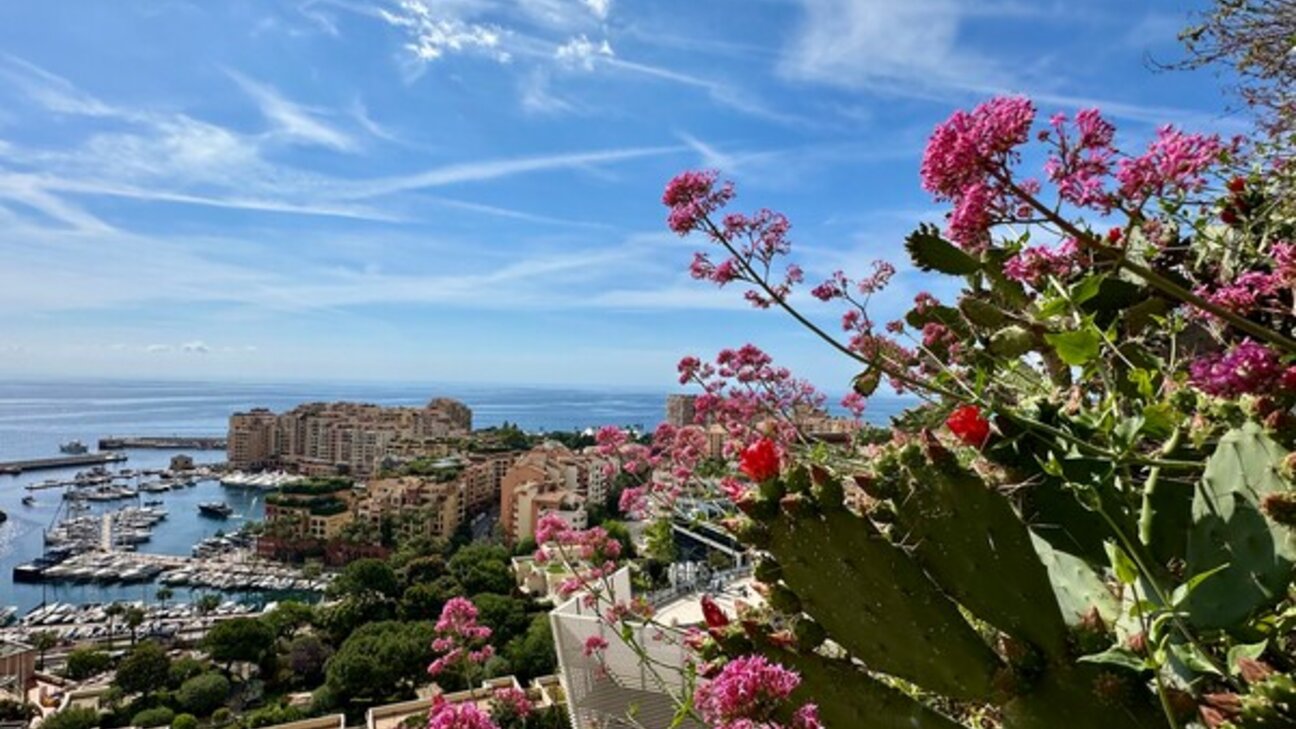 SET OF 8 LOTS ON 9 LOTS - QUARTIER PLATI